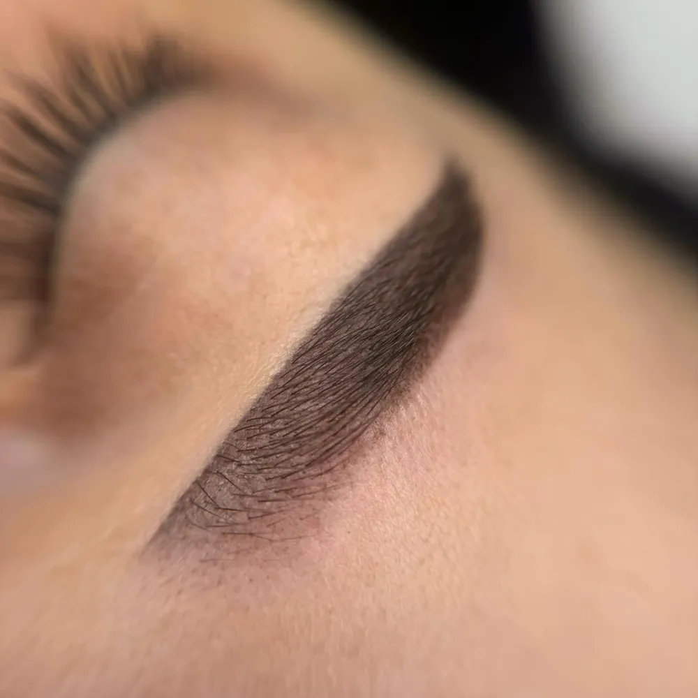 10b5e29e-09b2-4b55-9758-1720452a74dc