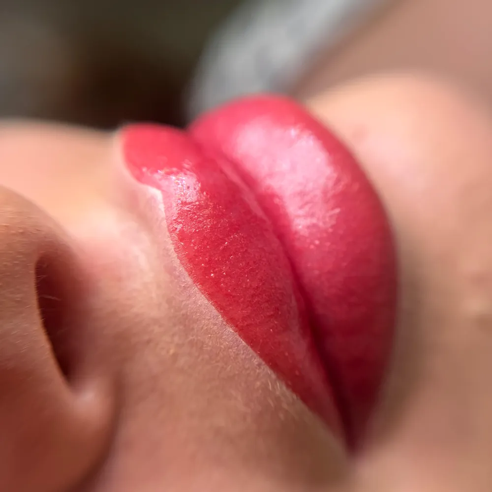 98CE8740-B630-429D-B40E-FEA0B2850F57