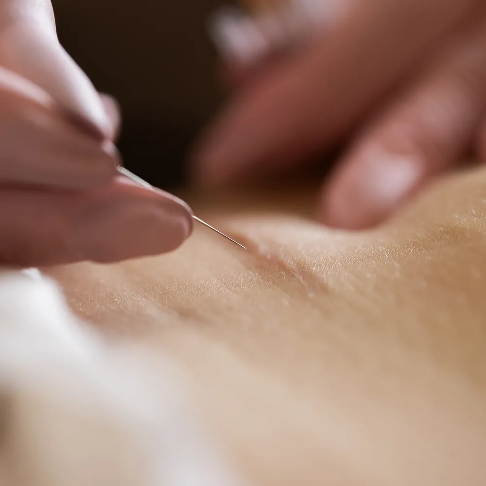 Kopia _T1A1319 kopia