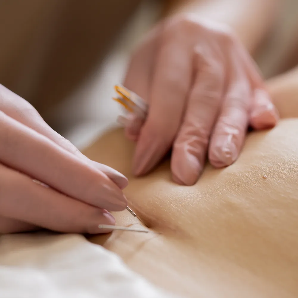 Kopia _T1A1330 kopia