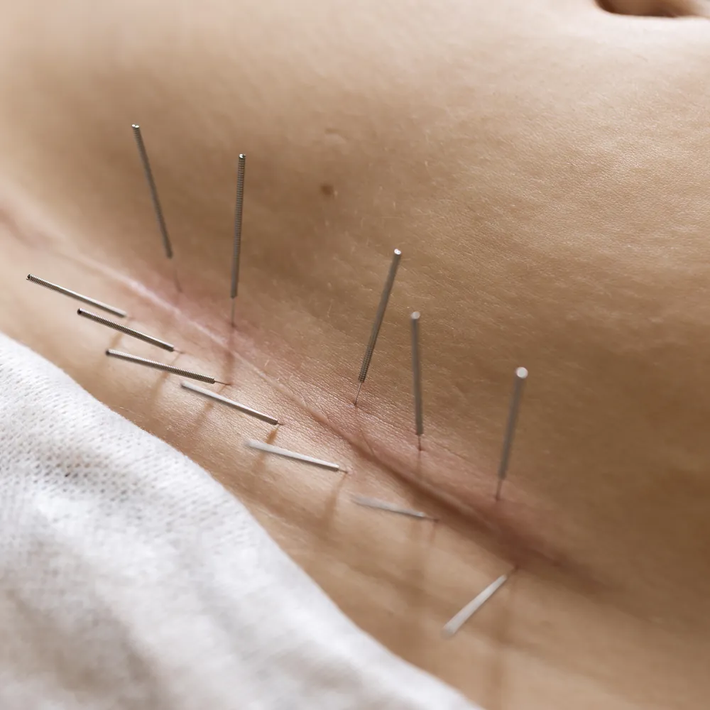 Kopia _T1A1352 kopia